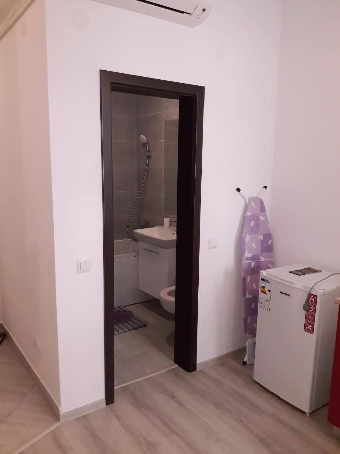 Palas Studios 雅西 外观 照片
